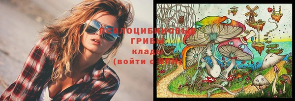 прущие крисы Вязники