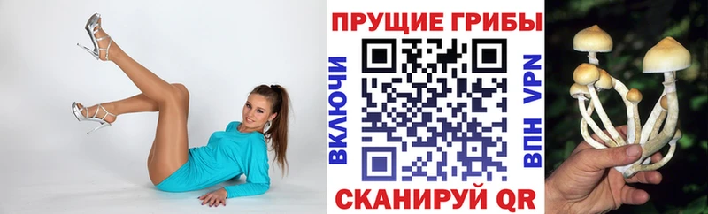 Псилоцибиновые грибы GOLDEN TEACHER как найти наркотики Северодвинск
