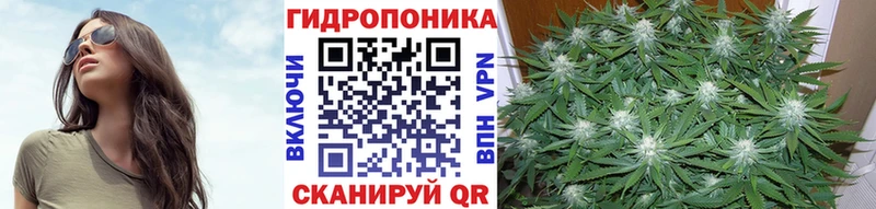 Конопля SATIVA & INDICA  Северодвинск 